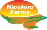 35576 Niceforo Logo CMYK (deluxe).jpeg