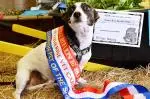 Katherine Show and Rodeo Announces Free Competition Entries for 2026 ...